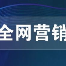 網絡推廣、網絡營銷與網絡技術服務 構建數字化時代的商業引擎